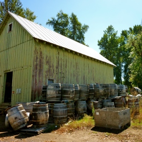 Travel: Rogue Ales Hops Farm