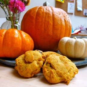 Tasty Tuesday: Pumpkin Chocolate Chip Cookies